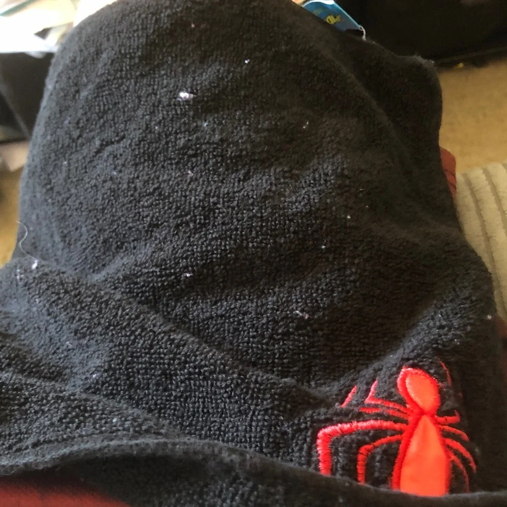 Black Spider Embroidered Beanie - Red Accent